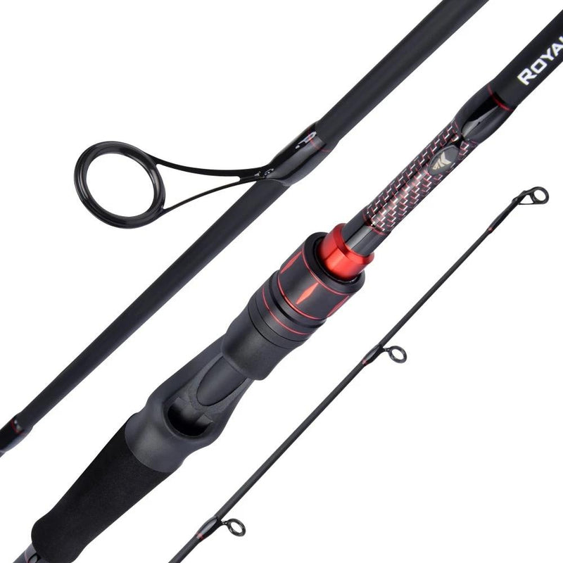 Casting Rod With Guide Rings